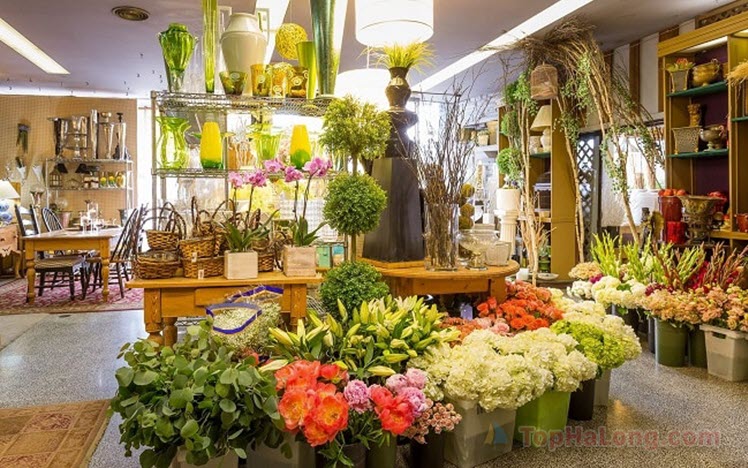 Top 5 Shop hoa tươi Hạ Long đẹp nhất